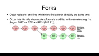 Forks
• Occur regularly, any time two miners find a block at nearly the same time.
• Occur intentionally when node software is modified with new rules (e.g. 1st
August 2017 => BTC and BCH (BIP 91)).
 