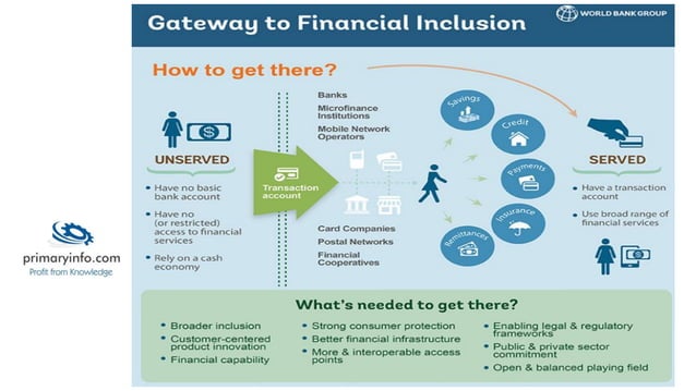 Financial inclusion | PDF