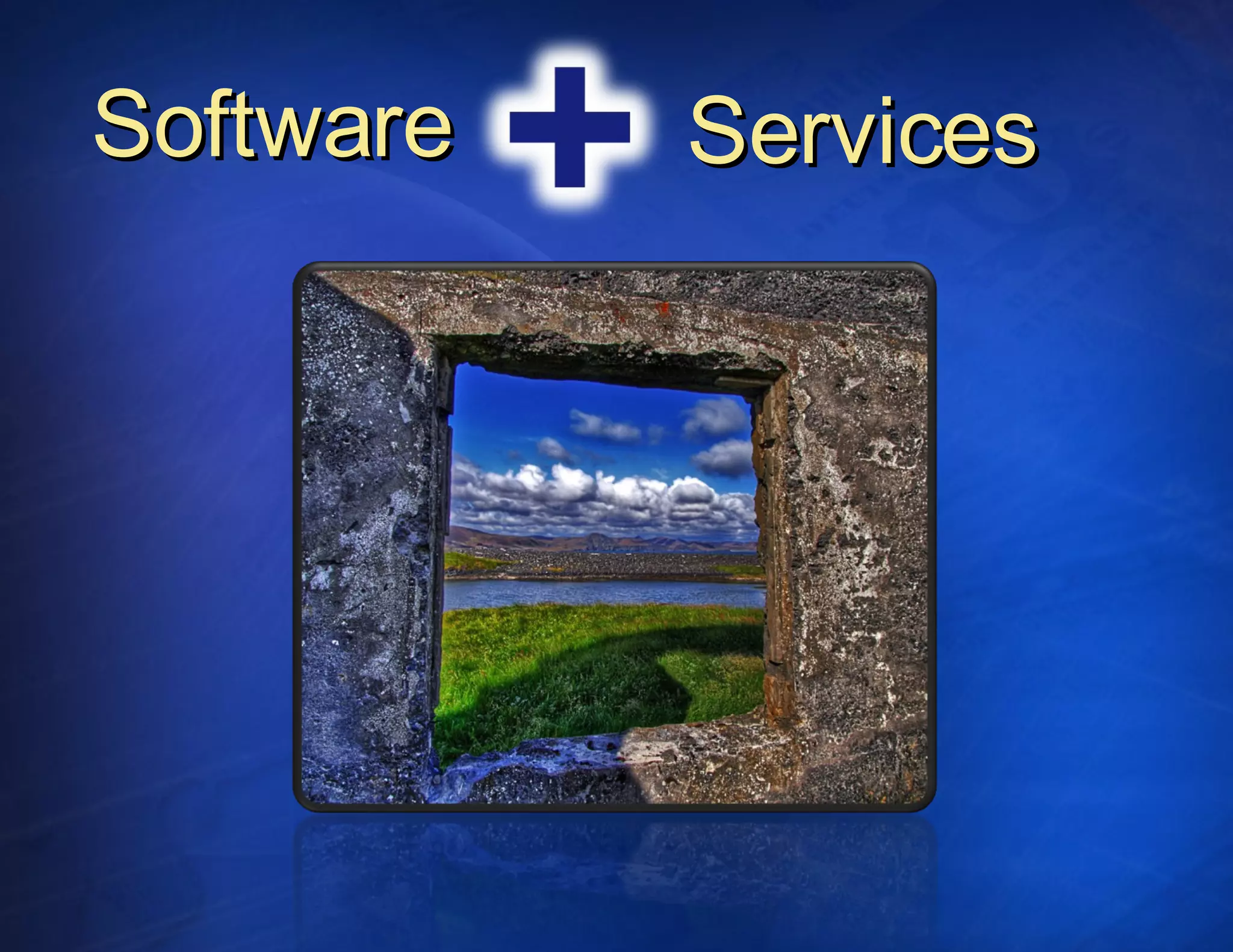 Services Software 