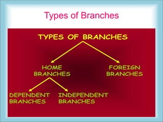 Types of Branches
 
