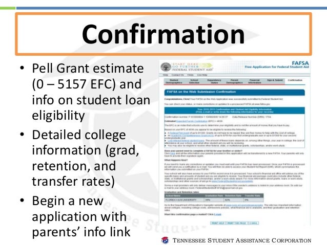 Reporting stock options on fafsa