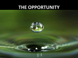 THE OPPORTUNITY
 