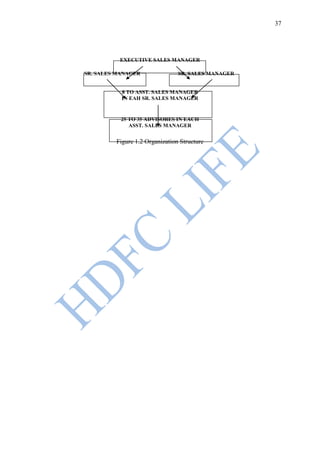 37




          EXECUTIVE SALES MANAGER

SR. SALES MANAGER               SR. SALES MANAGER


           8 TO ASST. SALES MANAGER
           IN EAH SR. SALES MANAGER


           25 TO 35 ADVISORES IN EACH
              ASST. SALES MANAGER


         Figure 1.2 Organization Structure
 