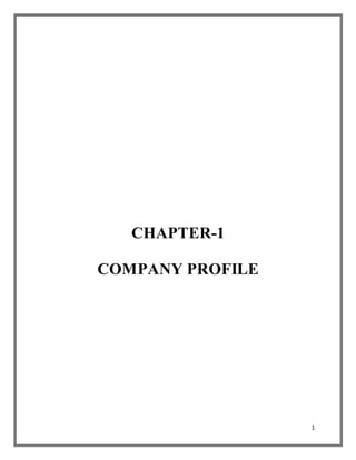 1
CHAPTER-1
COMPANY PROFILE
 