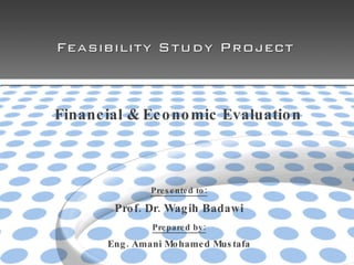 Financial & Economic Evaluation Presented to: Prof. Dr. Wagih Badawi Prepared by: Eng. Amani Mohamed Mustafa 