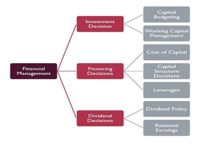 Financial Management