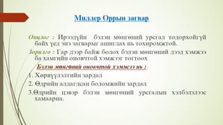 Financial management lecture 8