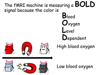 The fMRI machine is measuring a         BOLD
signal because the color is
                            lood  B
             ...