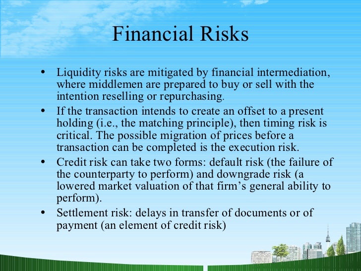 Dissertation on financial risk management