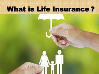 What is Life Insurance ?
 