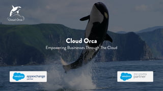 Cloud Orca
Empowering Businesses Through The Cloud
 
