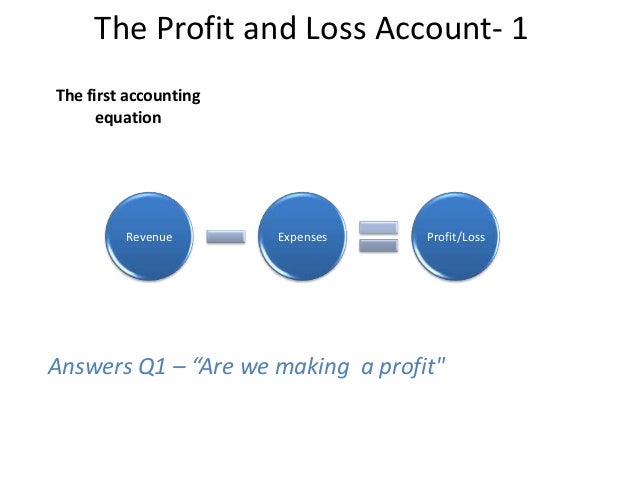 financial statements 2 revenue expenses profit