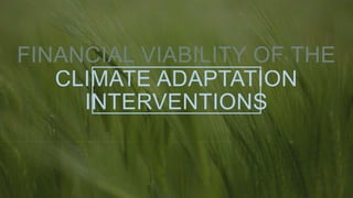 FINANCIAL VIABILITY OF THE
CLIMATE ADAPTATION
INTERVENTIONS
 