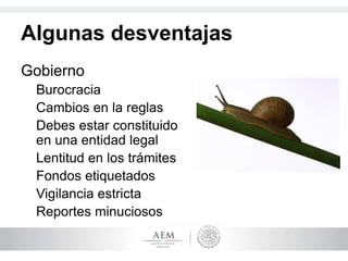 Algunas desventajas
Gobierno
Burocracia
Cambios en la reglas
Debes estar constituido
en una entidad legal
Lentitud en los trámites
Fondos etiquetados
Vigilancia estricta
Reportes minuciosos
 
