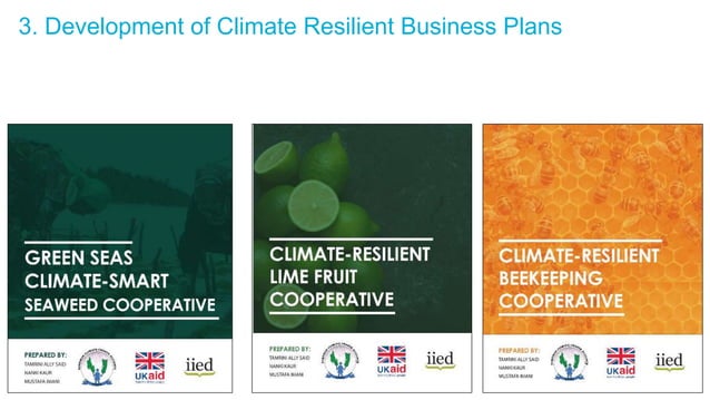 Financing investment in climate resilient enterprises | PPT