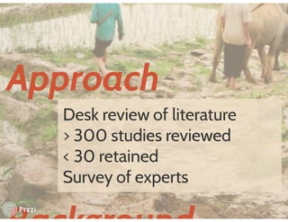 Financing low emissions agriculture: Building the business case for alternate wetting and drying in irrigated rice