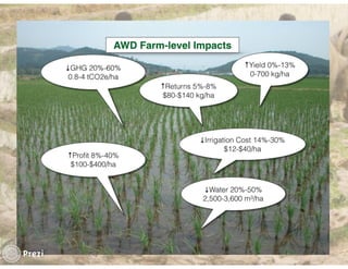 Financing low emissions agriculture: Building the business case for alternate wetting and drying in irrigated rice