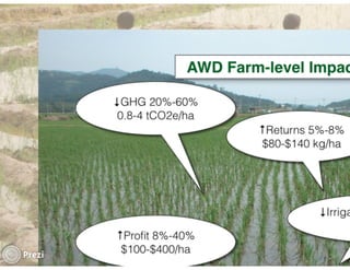 Financing low emissions agriculture: Building the business case for alternate wetting and drying in irrigated rice