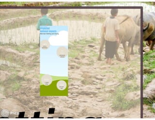 Financing low emissions agriculture: Building the business case for alternate wetting and drying in irrigated rice