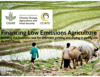 Financing low emissions agriculture: Building the business case for alternate wetting and drying in irrigated rice