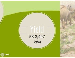 Financing low emissions agriculture: Building the business case for alternate wetting and drying in irrigated rice