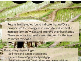 Financing low emissions agriculture: Building the business case for alternate wetting and drying in irrigated rice