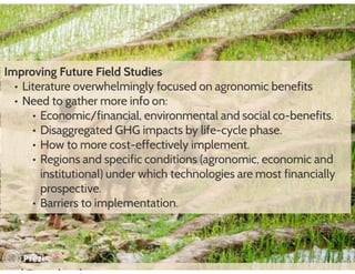 Financing low emissions agriculture: Building the business case for alternate wetting and drying in irrigated rice