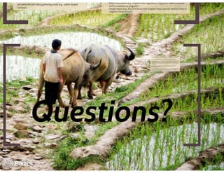 Financing low emissions agriculture: Building the business case for alternate wetting and drying in irrigated rice