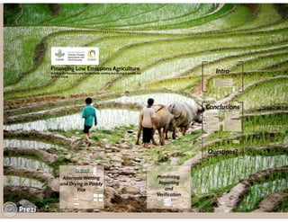 Financing low emissions agriculture: Building the business case for alternate wetting and drying in irrigated rice