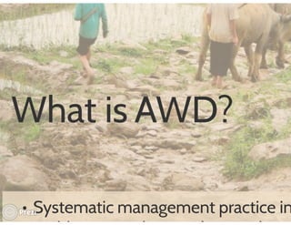 Financing low emissions agriculture: Building the business case for alternate wetting and drying in irrigated rice