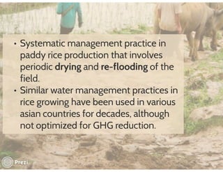 Financing low emissions agriculture: Building the business case for alternate wetting and drying in irrigated rice