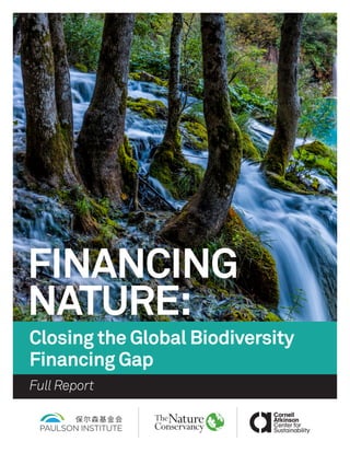 FINANCING
NATURE:
Closing the Global Biodiversity
Financing Gap
Full Report
 
