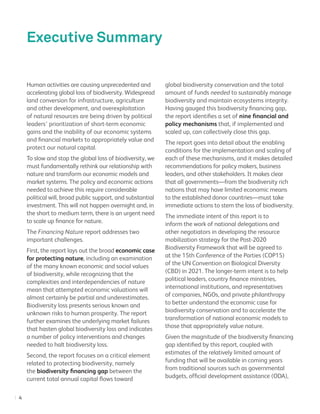 Financing Nature: Closing the global biodiversity financing gap | PDF