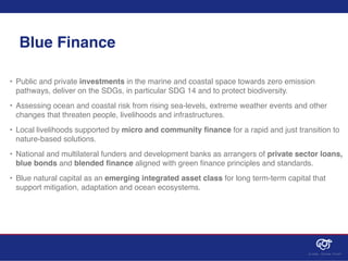 Blue Finance
• Public and private investments in the marine and coastal space towards zero emission
pathways, deliver on t...