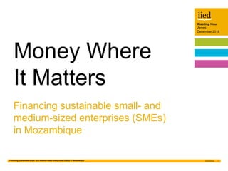 Financing sustainable small- and medium-sized enterprises (SMEs) in Mozambique 1
Xiaoting Hou
Jones
December 2016
Author n...