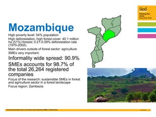 Financing sustainable small- and medium-sized enterprises (SMEs) in Mozambique 2
Xiaoting Hou
Jones
December 2016
Mozambiq...