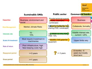 Financing sustainable small- and medium-sized enterprises (SMEs) in Mozambique 3
Xiaoting Hou
Jones
December 2016
Sustaina...