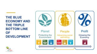 Financing Blue Financing the Blue Economy: A Caribbean Development Opportunity | PDF
