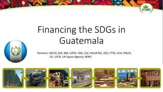 Financing the SDGs in
Guatemala
Partners: AECID, BID, BM, CATIE, FAO, GIZ, HELVETAS, IIED, ITTO, JICA, PNUD,
UE, UICN, UK Space Agency, WWF.
 