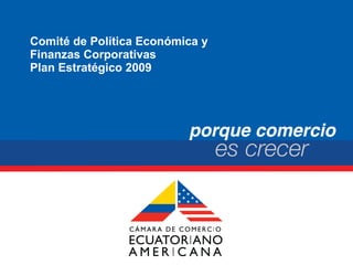 Comité de Política Económica y  Finanzas Corporativas Plan Estratégico 2009 