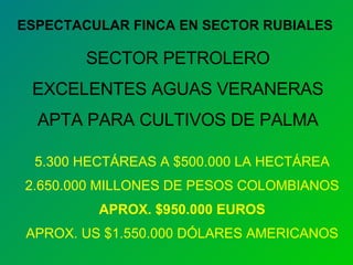 ESPECTACULAR FINCA EN SECTOR RUBIALES SECTOR PETROLERO EXCELENTES AGUAS VERANERAS APTA PARA CULTIVOS DE PALMA 5.300 HECTÁREAS A $500.000 LA HECTÁREA 2.650.000 MILLONES DE PESOS COLOMBIANOS APROX. $950.000 EUROS APROX. US $1.550.000 DÓLARES AMERICANOS 