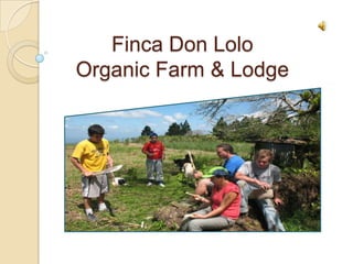Finca Don Lolo OrganicFarm & Lodge 