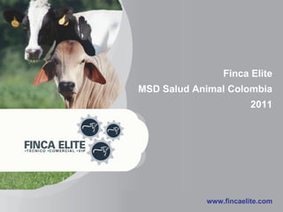 Finca Elite MSD Salud Animal Colombia 2011 www.fincaelite.com 