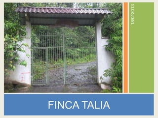 18/012013
FINCA TALIA
 