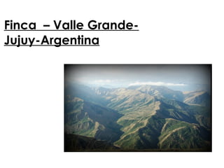 Finca – Valle Grande-
Jujuy-Argentina
 