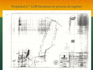 Propiedad 2 * 1,038 hectáreas en proceso de registro
 