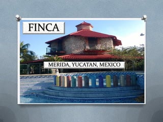 FINCA
MERIDA, YUCATAN, MEXICO
 