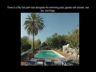 There is a fifty foot palm tree alongside the swimming pool, gazebo with shower, wet bar, and fridge. 