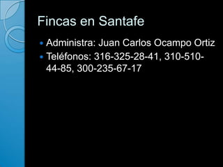 Fincas en Santafe Administra: Juan Carlos Ocampo Ortiz Teléfonos: 316-325-28-41, 310-510-44-85, 300-235-67-17 