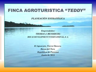 FINCA AGROTURISTICA “TEDDY”
         PLANEACIÓN ESTRATÉGICA




                  Emprendedor:
             THOMAS J. BENDIBURG
      BOCAS DEVELOPMENT INTERNATIONAL, S. A.



            El Aguacate, Tierra Oscura,
                  Bocas del Toro
               República de Panamá
                   Junio de 2012
 